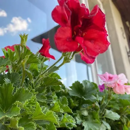 Villa, Saun, Grill, Jalgrattad, Ideaalne Perepuhkus! Вилла