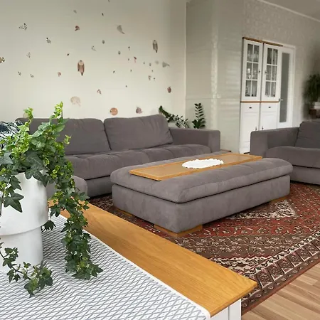 Villa, Saun, Grill, Jalgrattad, Ideaalne Perepuhkus! * Выру