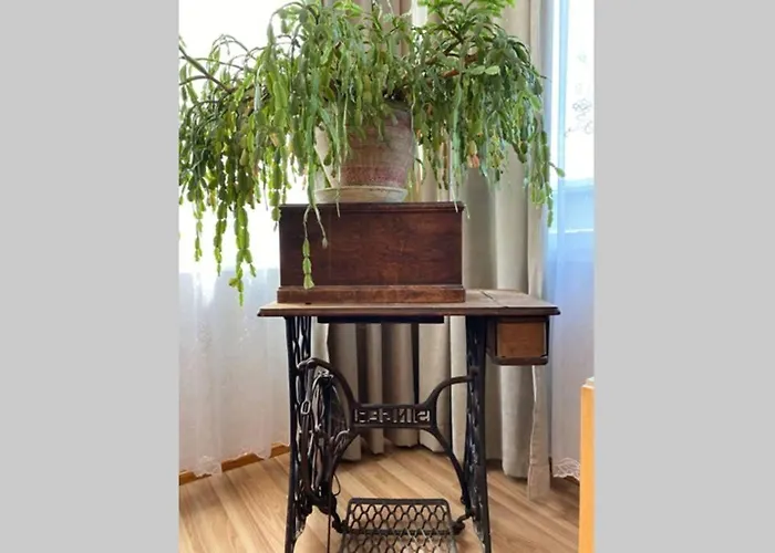 Villa, Saun, Grill, Jalgrattad, Ideaalne Perepuhkus! *