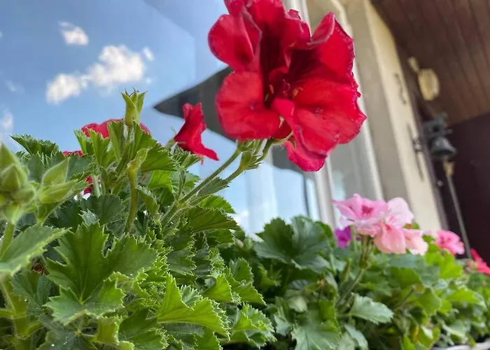 Villa, Saun, Grill, Jalgrattad, Ideaalne Perepuhkus! Вилла